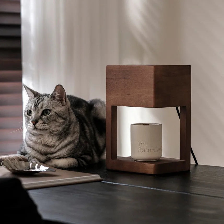 Cat sitting next to a wooden lamp with a white candle on a table.